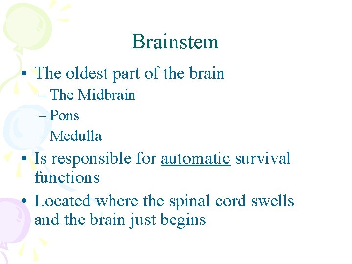 Brainstem • The oldest part of the brain – The Midbrain – Pons –