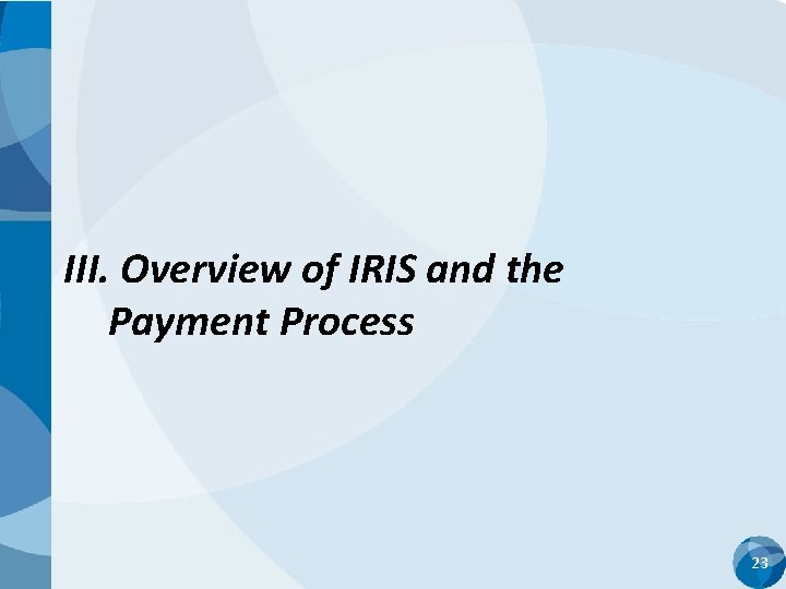 III. Overview of IRIS and the Payment Process 23 