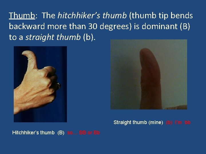 Thumb: The hitchhiker’s thumb (thumb tip bends backward more than 30 degrees) is dominant