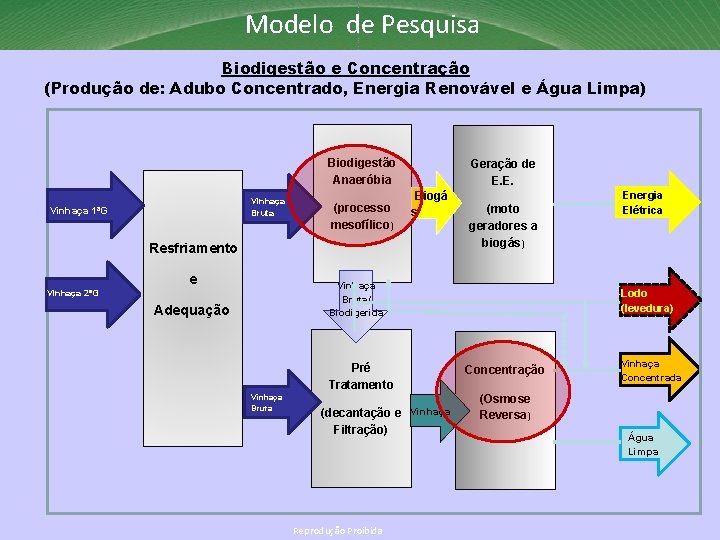 Modelo de Pesquisa Biodigestão e Concentração (Produção de: Adubo Concentrado, Energia Renovável e Água