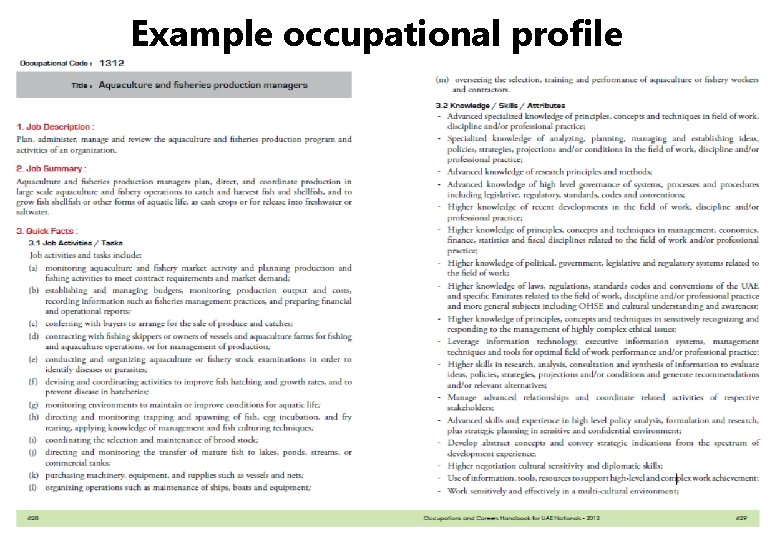 Example occupational profile 