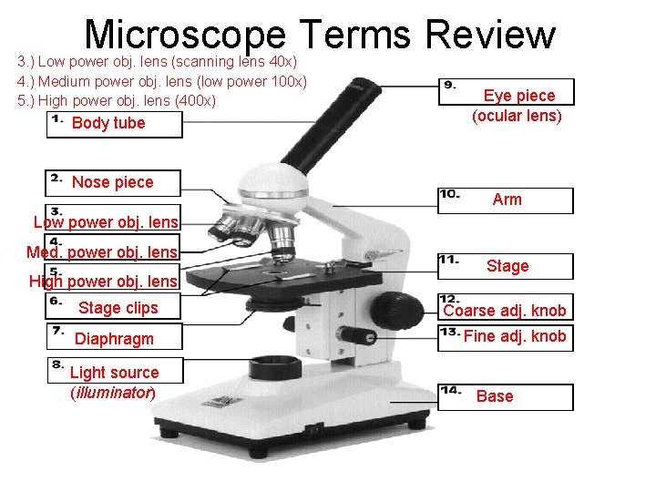 Microscope Terms Review 3. ) Low power obj. lens (scanning lens 40 x) 4.