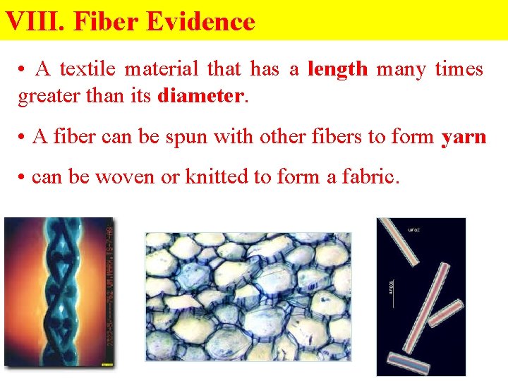 VIII. Fiber Evidence • A textile material that has a length many times greater