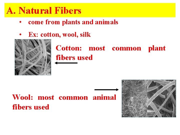A. Natural Fibers • come from plants and animals • Ex: cotton, wool, silk