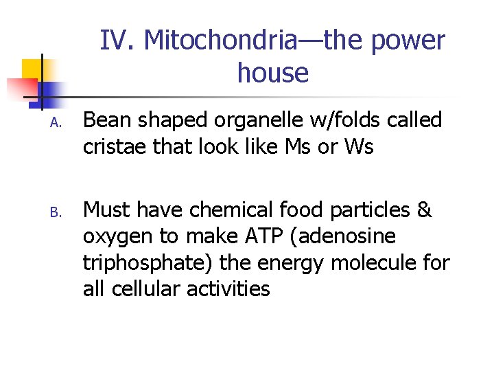 IV. Mitochondria—the power house A. Bean shaped organelle w/folds called cristae that look like
