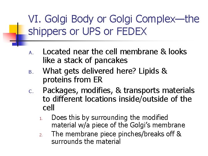 VI. Golgi Body or Golgi Complex—the shippers or UPS or FEDEX Located near the VI. Golgi Body or Golgi Complex—the shippers or UPS or FEDEX Located near the