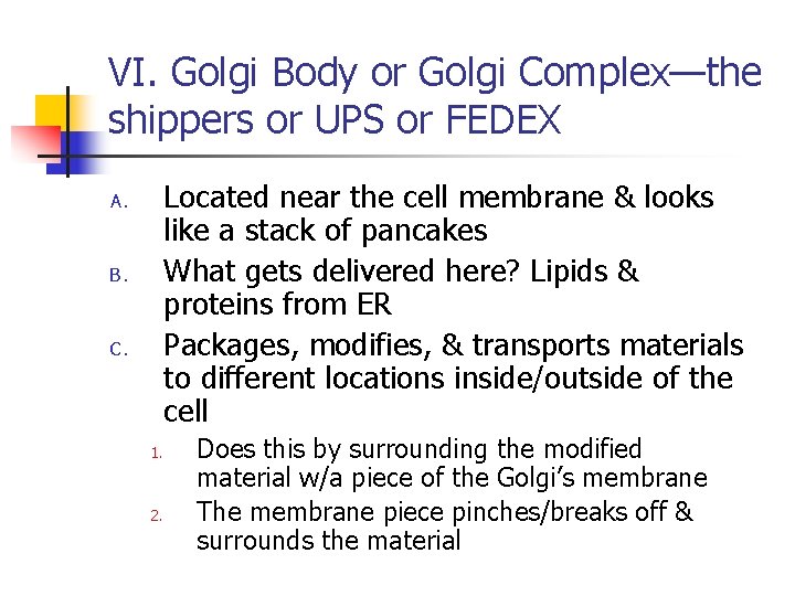 VI. Golgi Body or Golgi Complex—the shippers or UPS or FEDEX Located near the