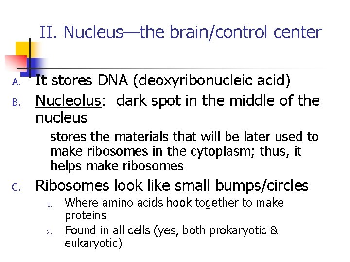 II. Nucleus—the brain/control center A. B. It stores DNA (deoxyribonucleic acid) Nucleolus: dark spot II. Nucleus—the brain/control center A. B. It stores DNA (deoxyribonucleic acid) Nucleolus: dark spot