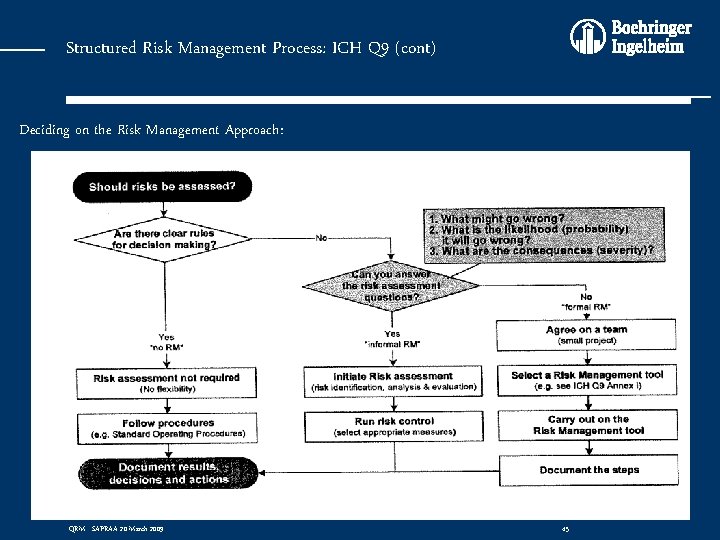 Structured Risk Management Process: ICH Q 9 (cont) Deciding on the Risk Management Approach: