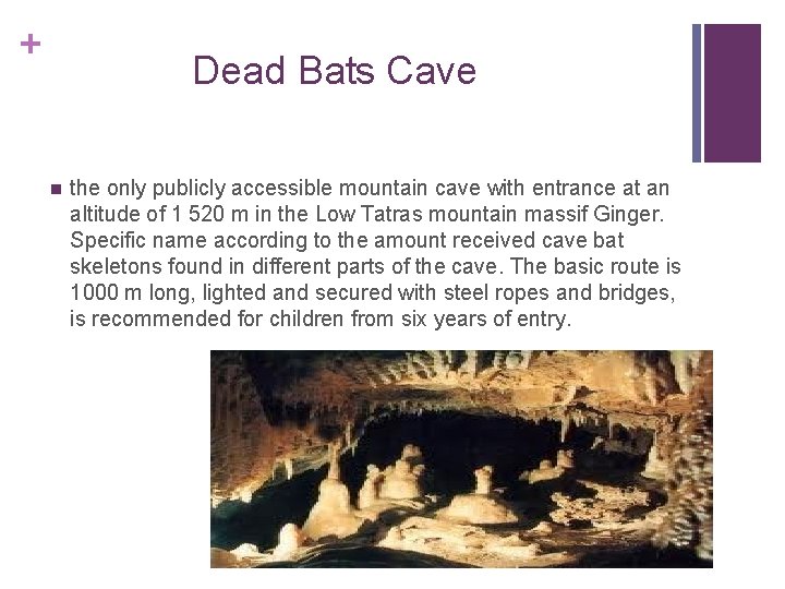 + Dead Bats Cave n the only publicly accessible mountain cave with entrance at