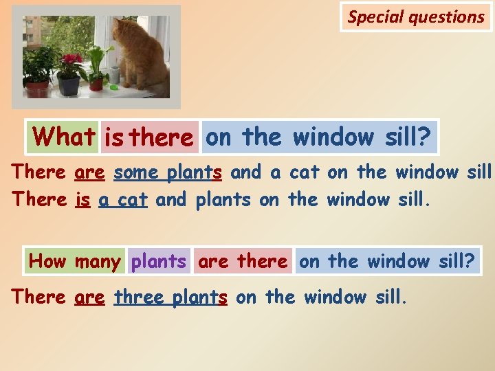 Special questions What is there on the window sill? There are some plants and