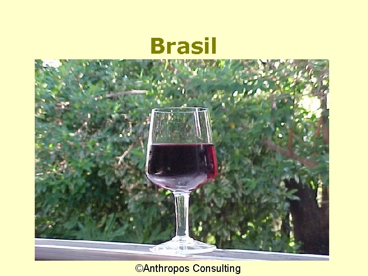Brasil ©Anthropos Consulting 