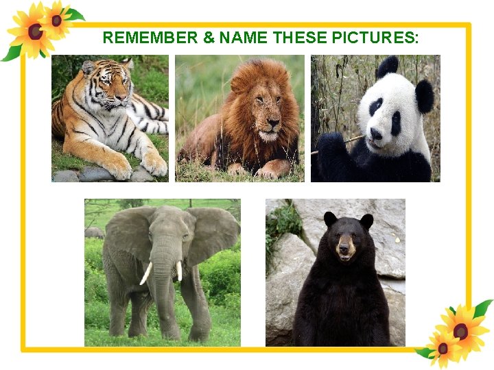 REMEMBER & NAME THESE PICTURES: 