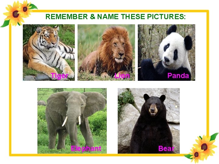 REMEMBER & NAME THESE PICTURES: Tiger Lion Elephant Panda Bear 