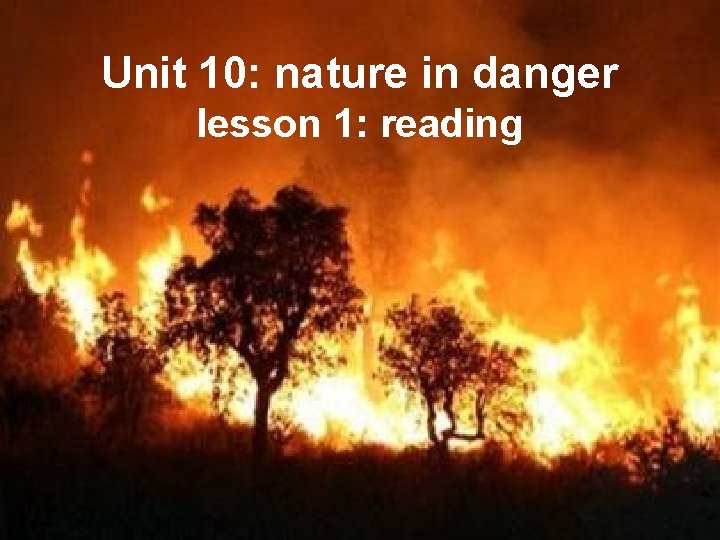 Unit 10: nature in danger lesson 1: reading 