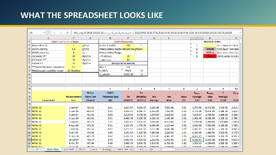 WHAT THE SPREADSHEET LOOKS LIKE 