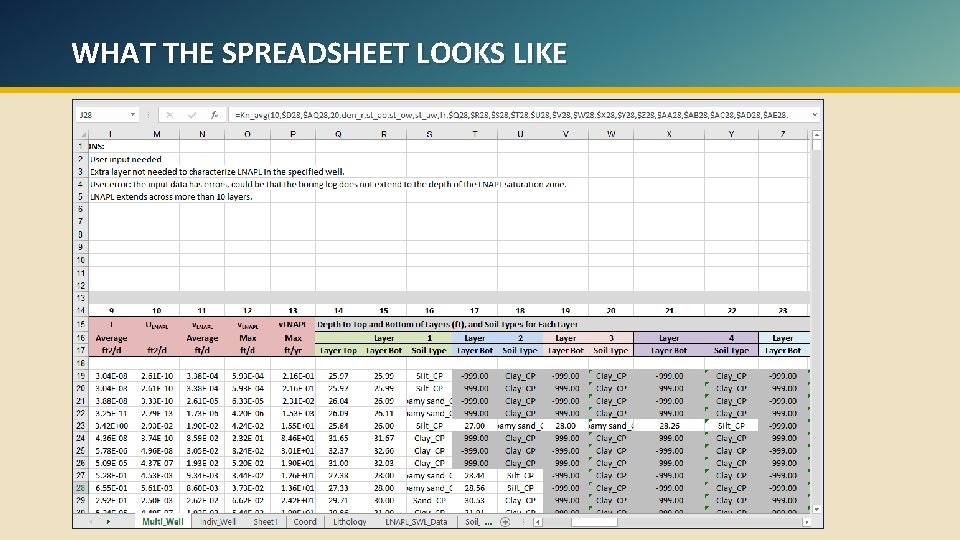 WHAT THE SPREADSHEET LOOKS LIKE 