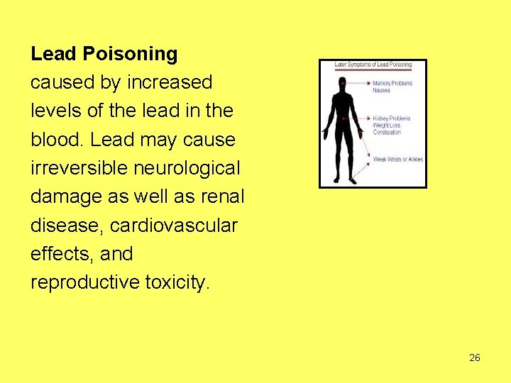 Lead Poisoning caused by increased levels of the lead in the blood. Lead may