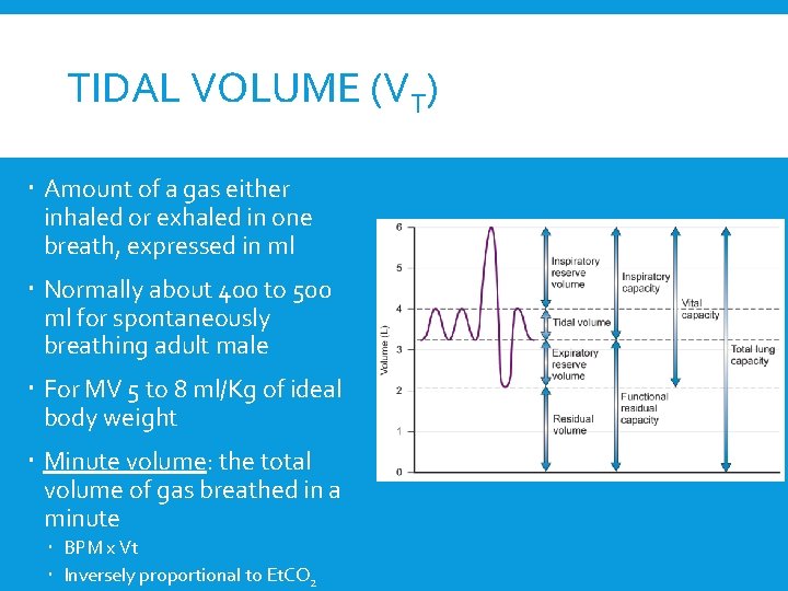 TIDAL VOLUME (VT) Amount of a gas either inhaled or exhaled in one breath,