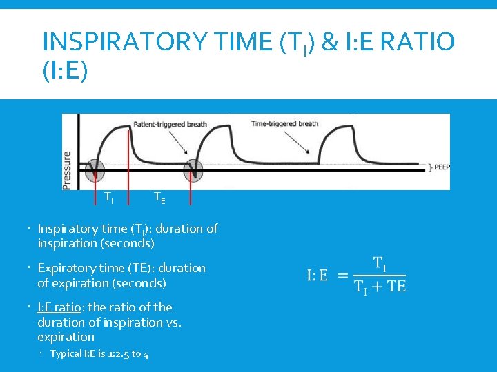 INSPIRATORY TIME (TI) & I: E RATIO (I: E) TI TE Inspiratory time (TI):