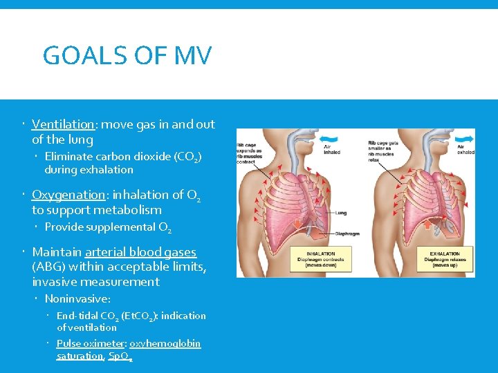 GOALS OF MV Ventilation: move gas in and out of the lung Eliminate carbon