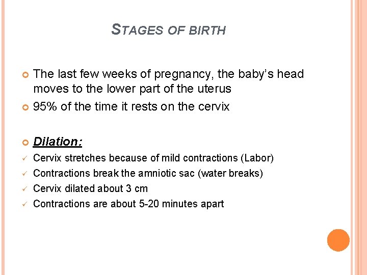 STAGES OF BIRTH The last few weeks of pregnancy, the baby’s head moves to