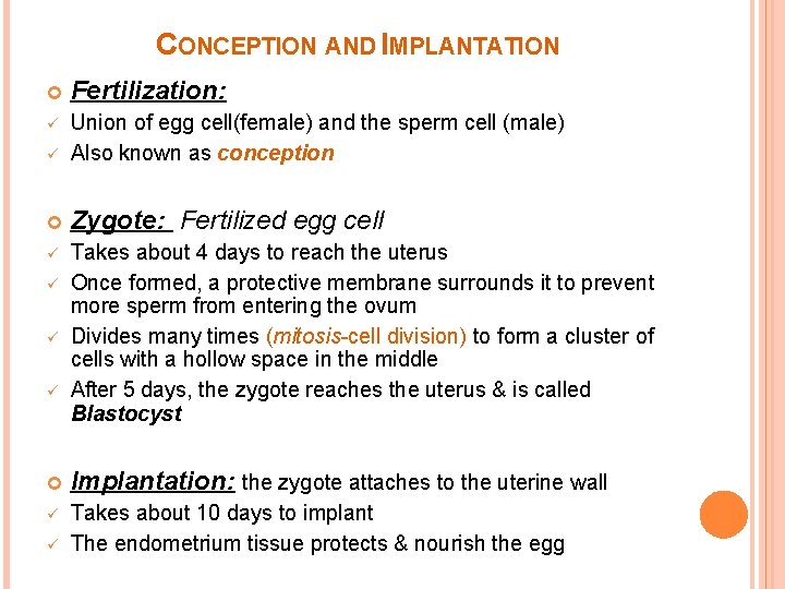 CONCEPTION AND IMPLANTATION Fertilization: ü ü Union of egg cell(female) and the sperm cell