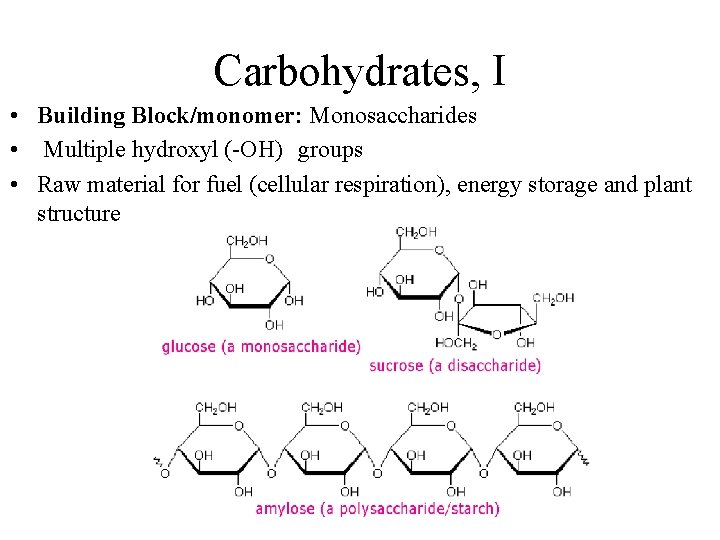 Carbohydrates, I • Building Block/monomer: Monosaccharides • Multiple hydroxyl (-OH) groups • Raw material