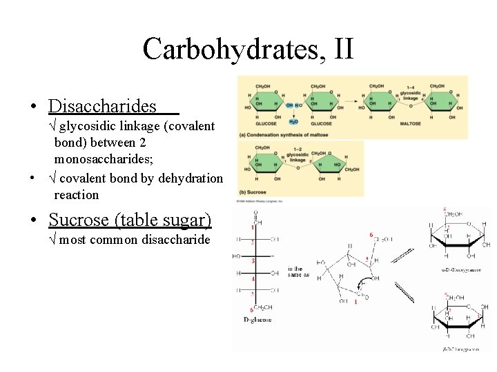 Carbohydrates, II • Disaccharides √ glycosidic linkage (covalent bond) between 2 monosaccharides; • √