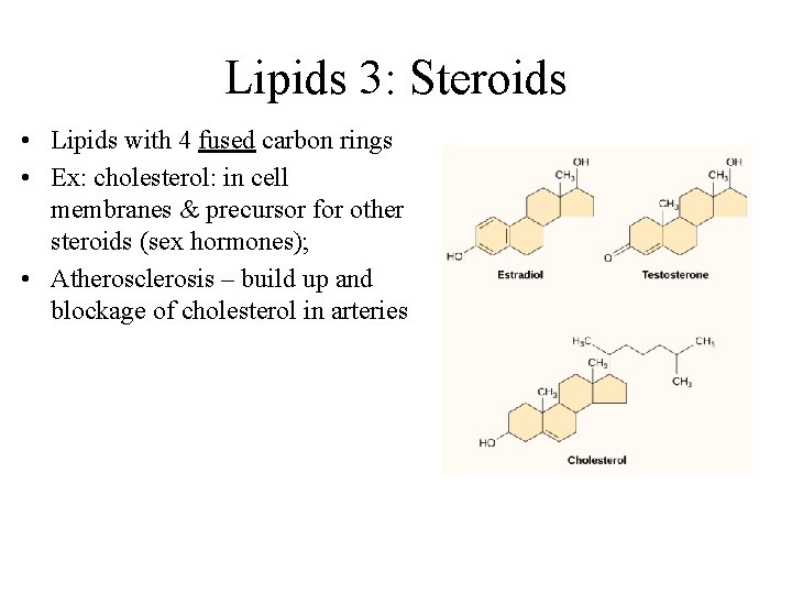 Lipids 3: Steroids • Lipids with 4 fused carbon rings • Ex: cholesterol: in
