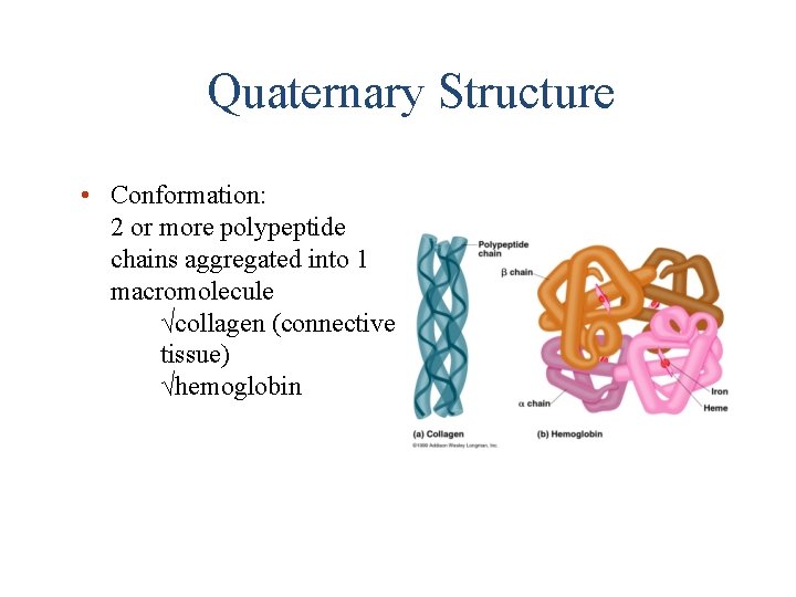 Quaternary Structure • Conformation: 2 or more polypeptide chains aggregated into 1 macromolecule √collagen
