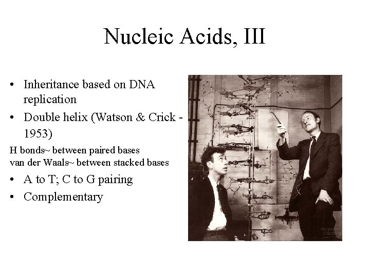 Nucleic Acids, III • Inheritance based on DNA replication • Double helix (Watson &