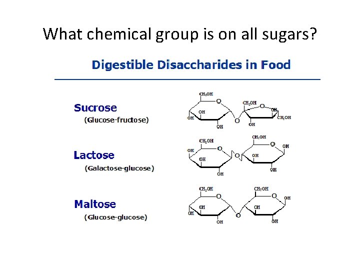 What chemical group is on all sugars? 