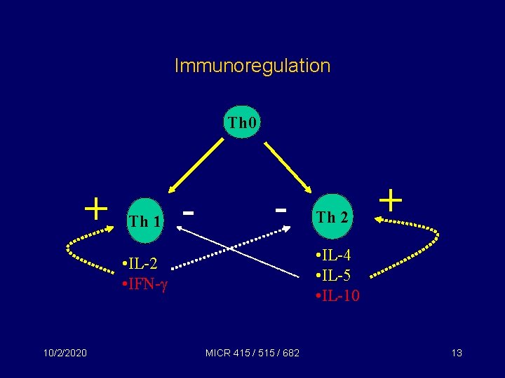 Immunoregulation Th 0 + Th 1 - - + • IL-4 • IL-5 •