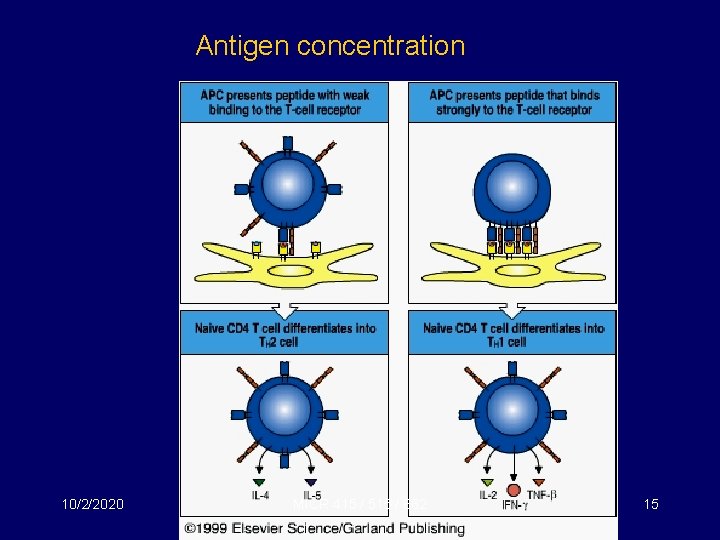 Antigen concentration 10/2/2020 MICR 415 / 515 / 682 15 