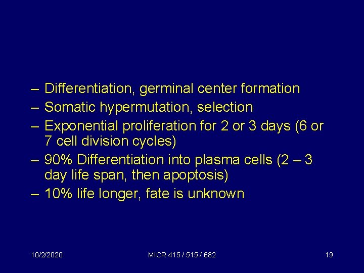 – Differentiation, germinal center formation – Somatic hypermutation, selection – Exponential proliferation for 2