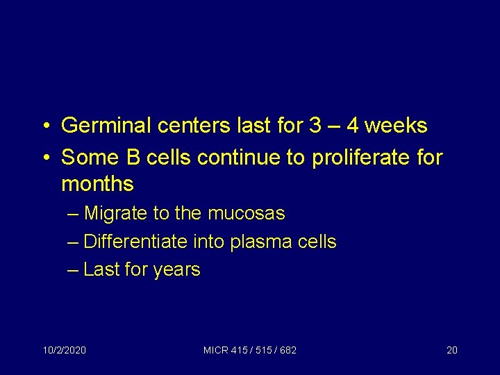  • Germinal centers last for 3 – 4 weeks • Some B cells