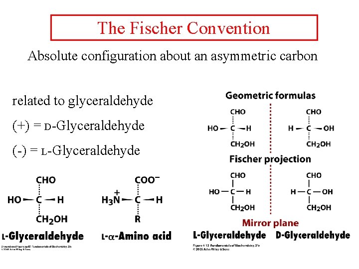 The Fischer Convention Absolute configuration about an asymmetric carbon related to glyceraldehyde (+) =