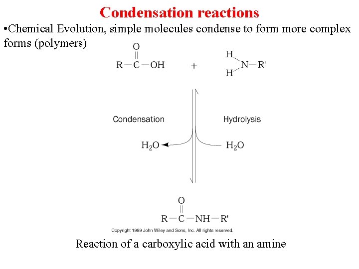 Condensation reactions • Chemical Evolution, simple molecules condense to form more complex forms (polymers)