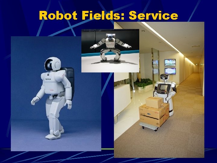 Robot Fields: Service 