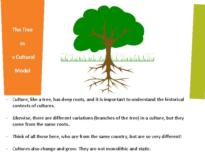 The Tree as a Cultural Model - Culture, like a tree, has deep roots,