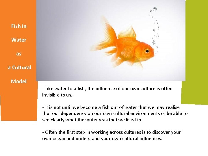 Fish in Water as a Cultural Model - Like water to a fish, the