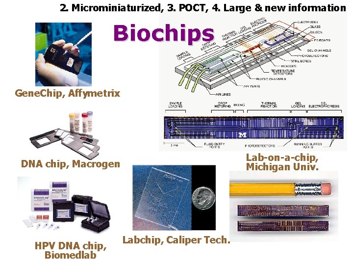 2. Microminiaturized, 3. POCT, 4. Large & new information Biochips Gene. Chip, Affymetrix Lab-on-a-chip,