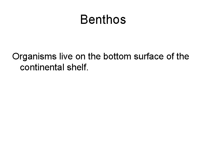 Benthos Organisms live on the bottom surface of the continental shelf. 