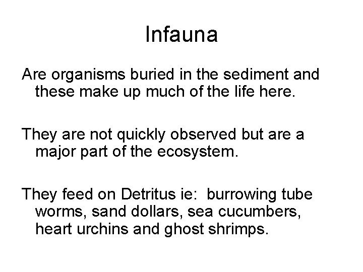 Infauna Are organisms buried in the sediment and these make up much of the