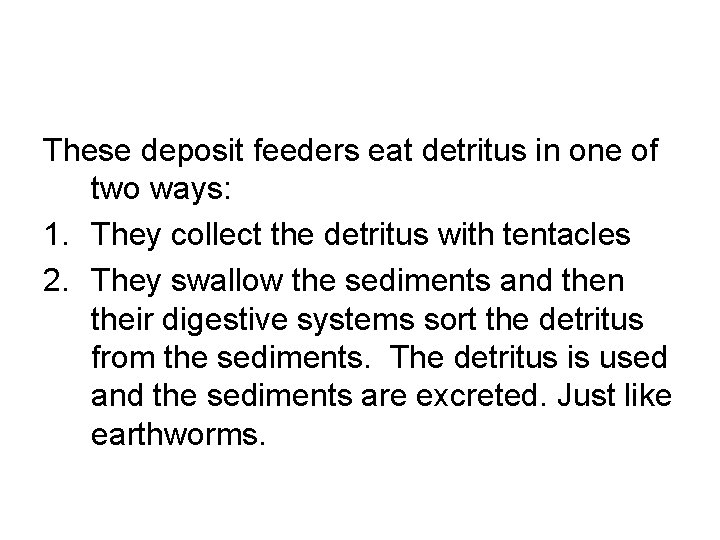 These deposit feeders eat detritus in one of two ways: 1. They collect the