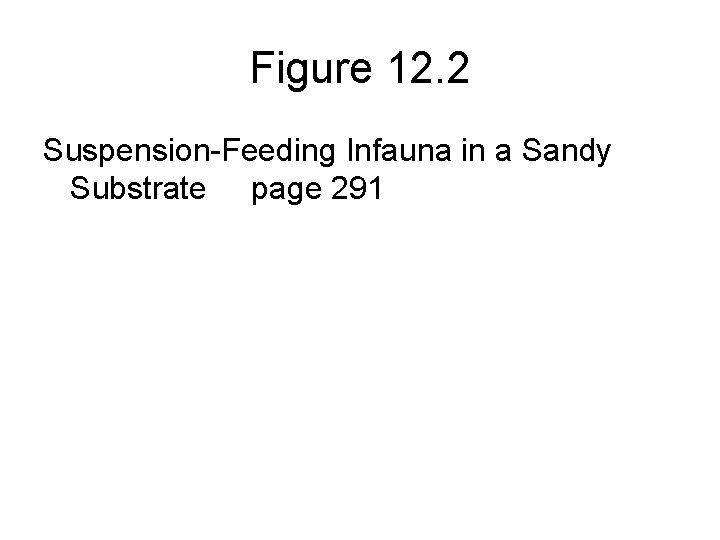 Figure 12. 2 Suspension-Feeding Infauna in a Sandy Substrate page 291 