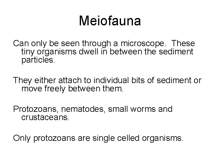 Meiofauna Can only be seen through a microscope. These tiny organisms dwell in between