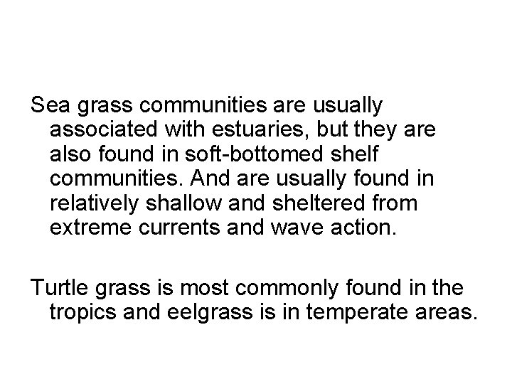 Sea grass communities are usually associated with estuaries, but they are also found in