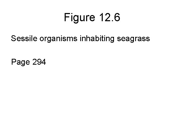 Figure 12. 6 Sessile organisms inhabiting seagrass Page 294 